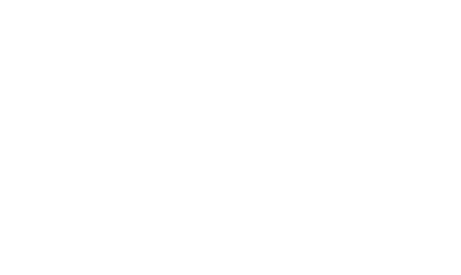 [ОКОНЧИЛ] ТОГАПОУ ТОТ - 09.02.07, Информационные системы и программирование
